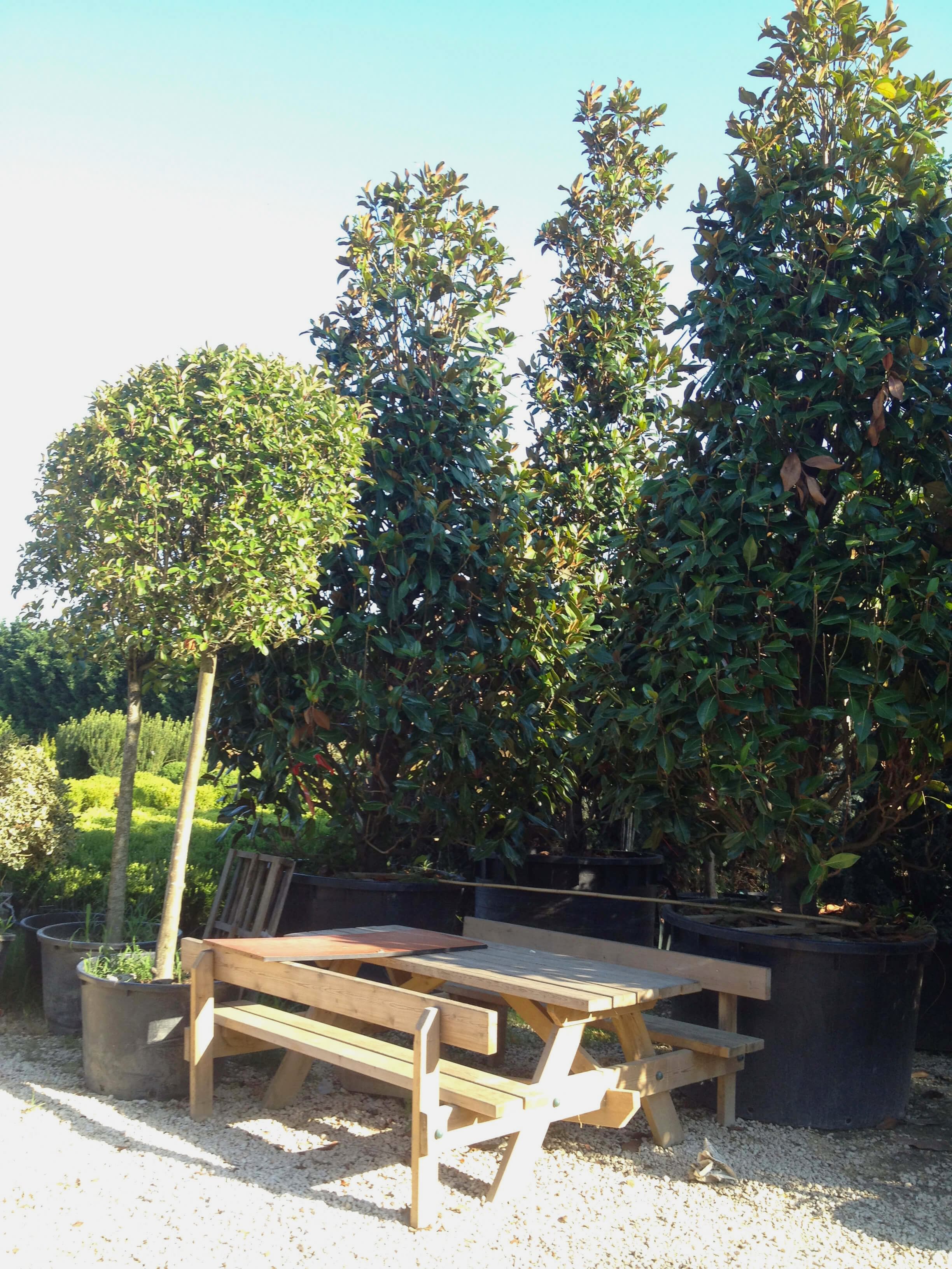 İnegöl Akkuş Peyzaj