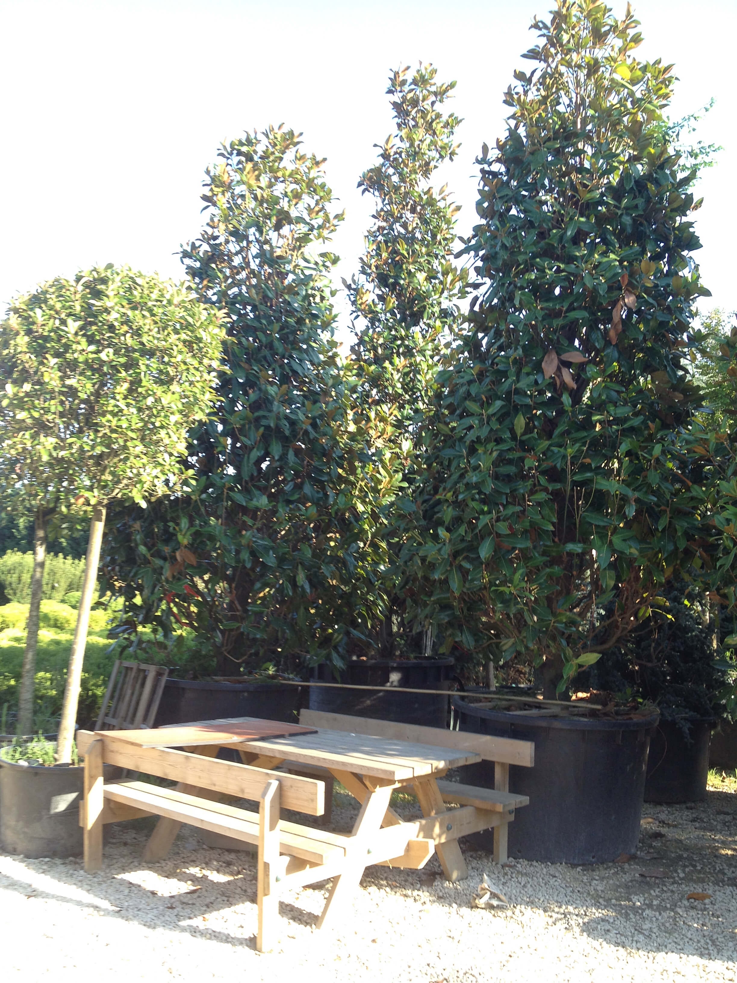 İnegöl Akkuş Peyzaj