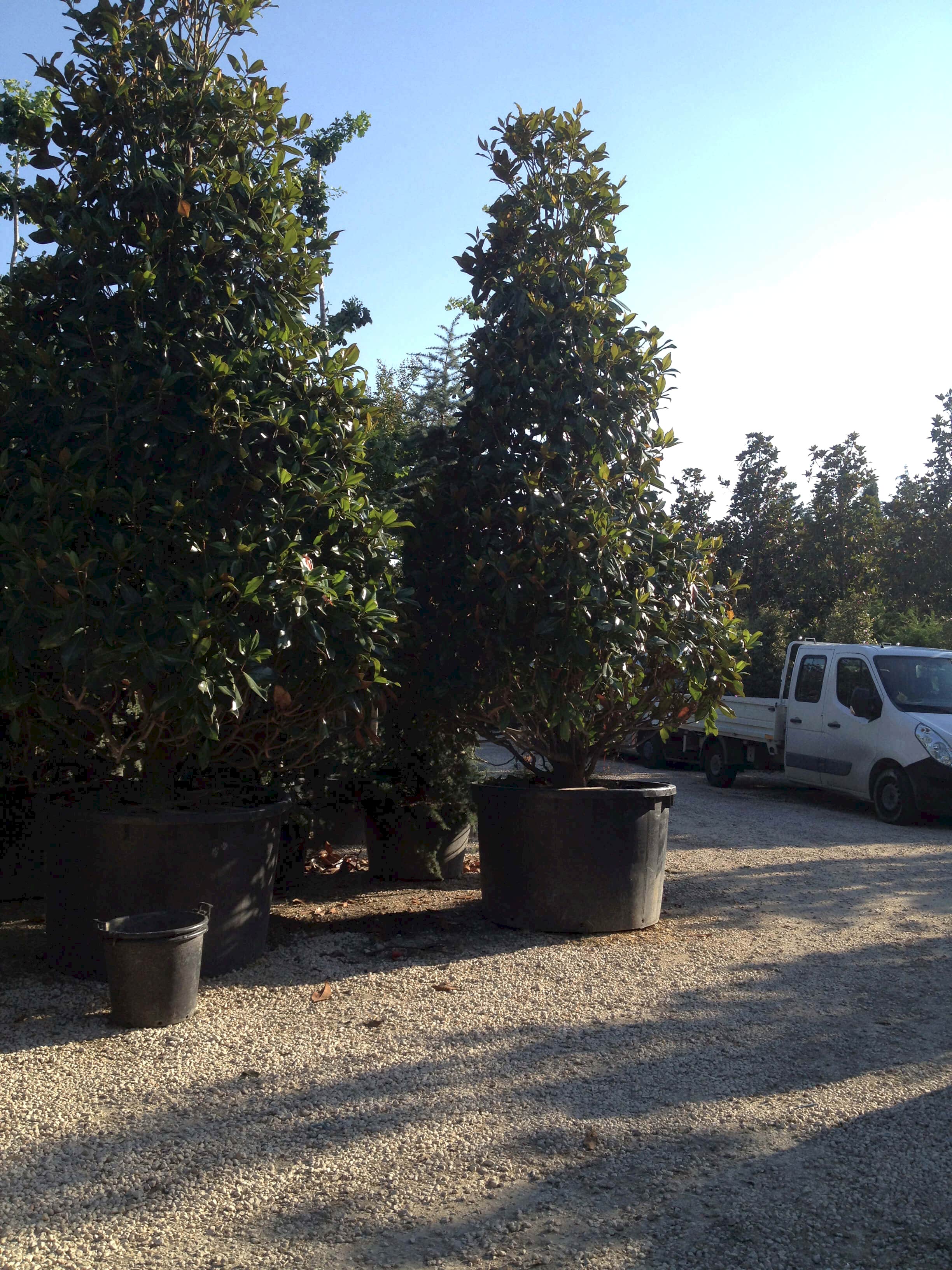 İnegöl Akkuş Peyzaj