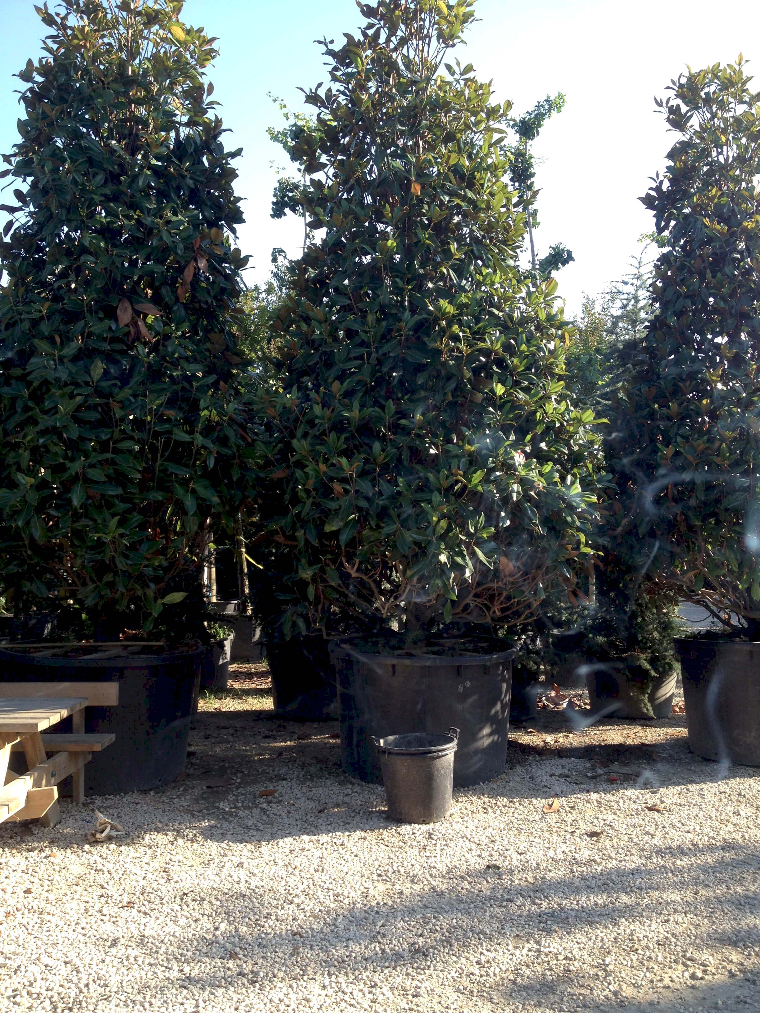 İnegöl Akkuş Peyzaj