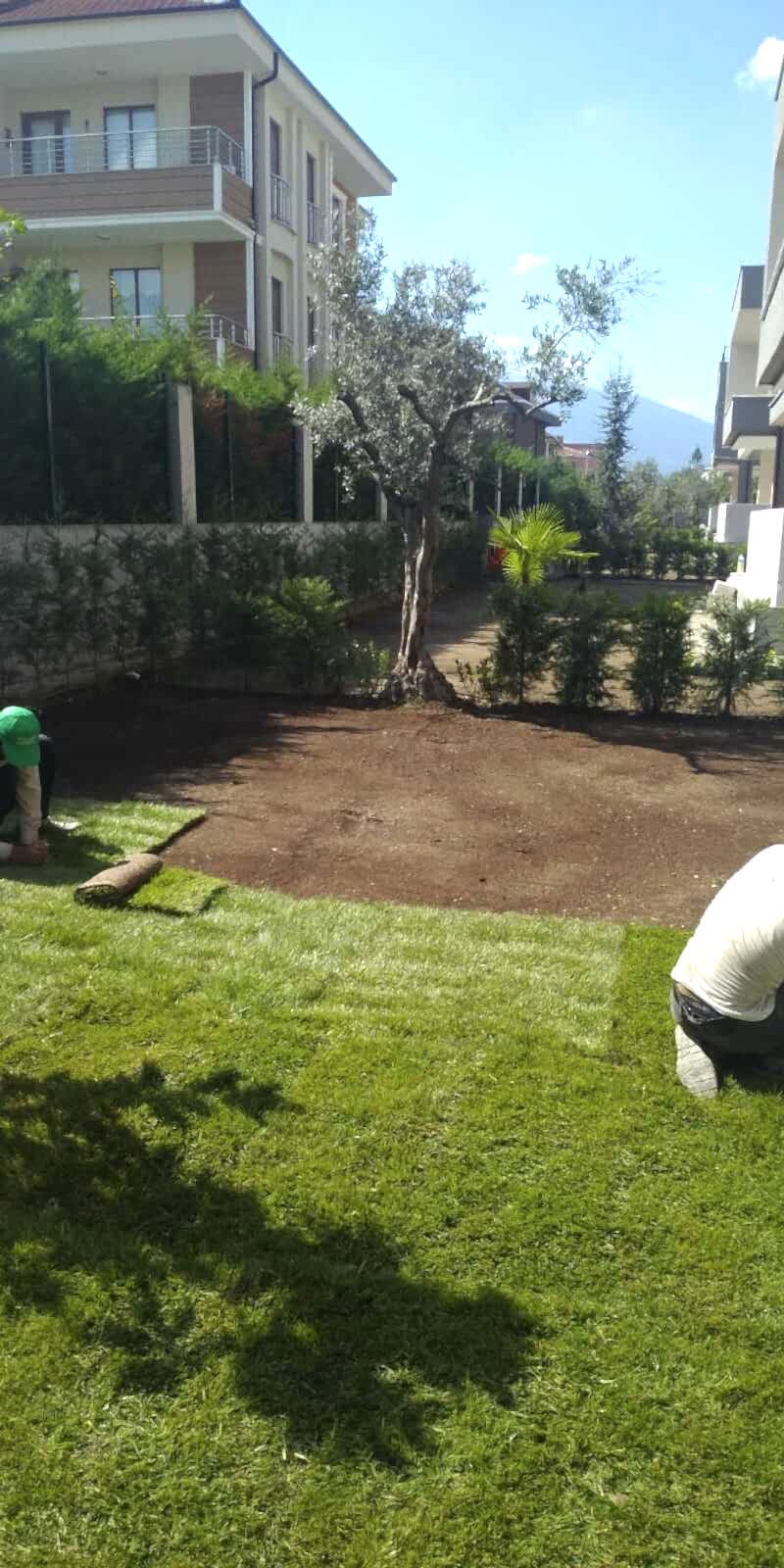 İnegöl Akkuş Peyzaj