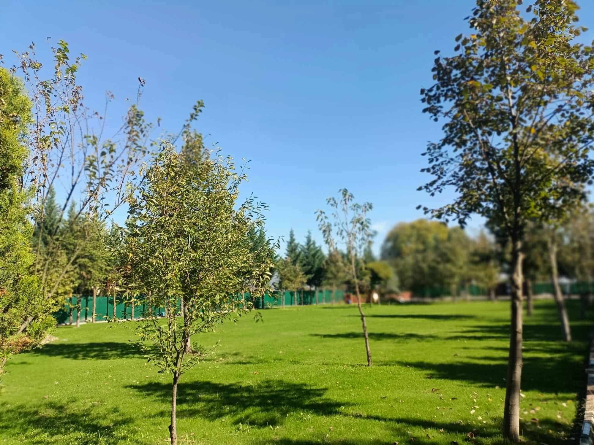 İnegöl Akkuş Peyzaj