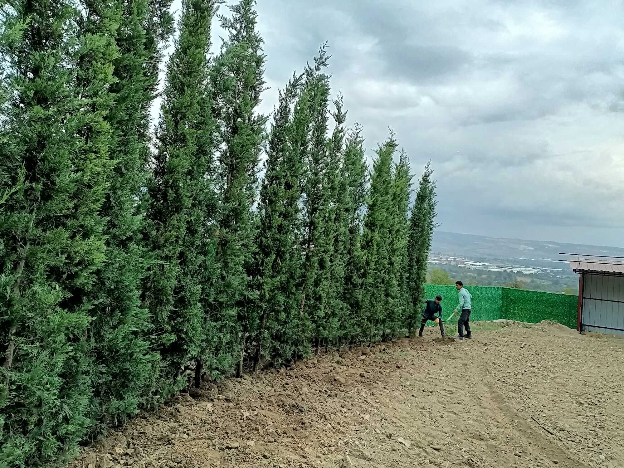 İnegöl Akkuş Peyzaj