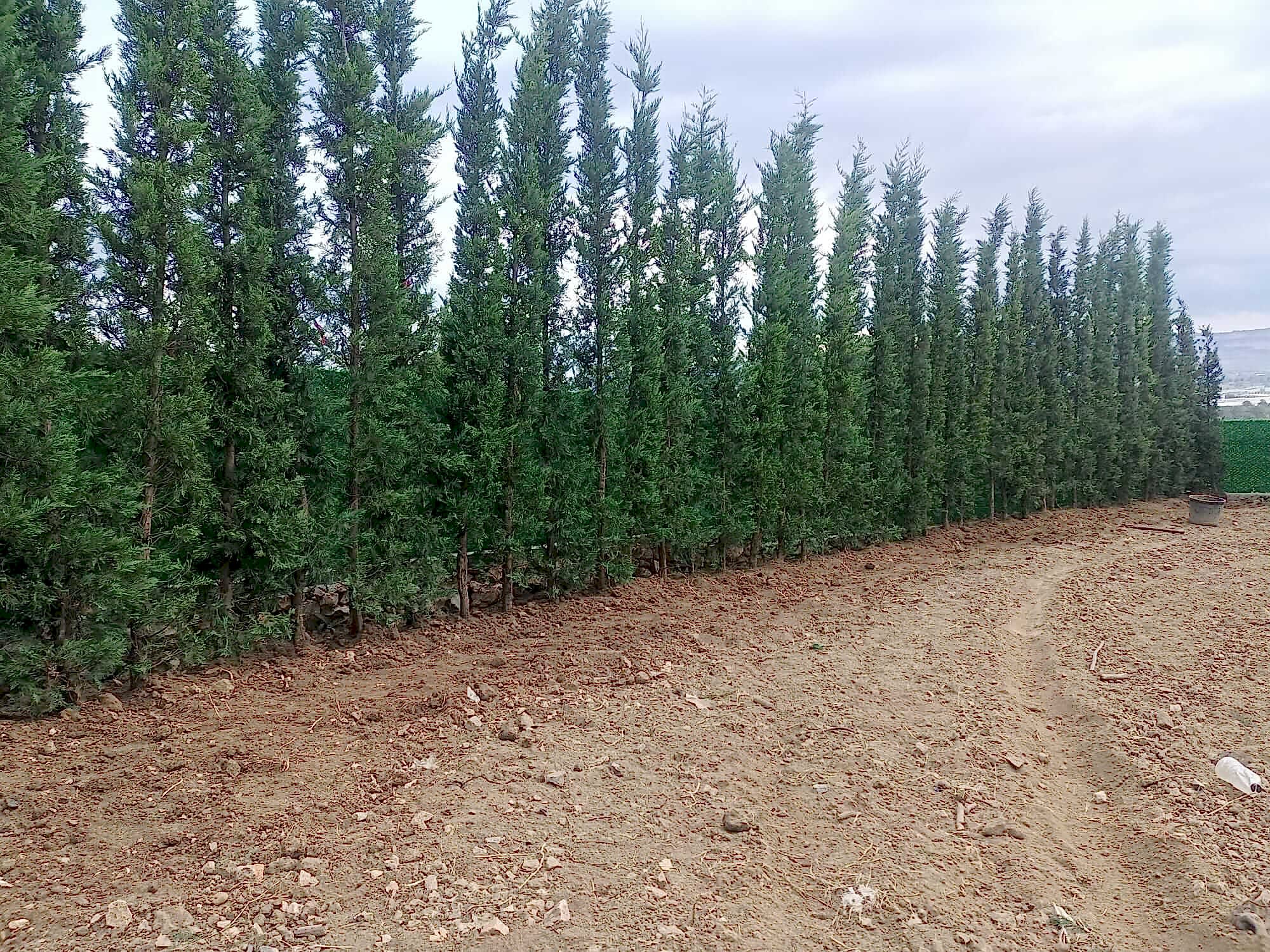 İnegöl Akkuş Peyzaj