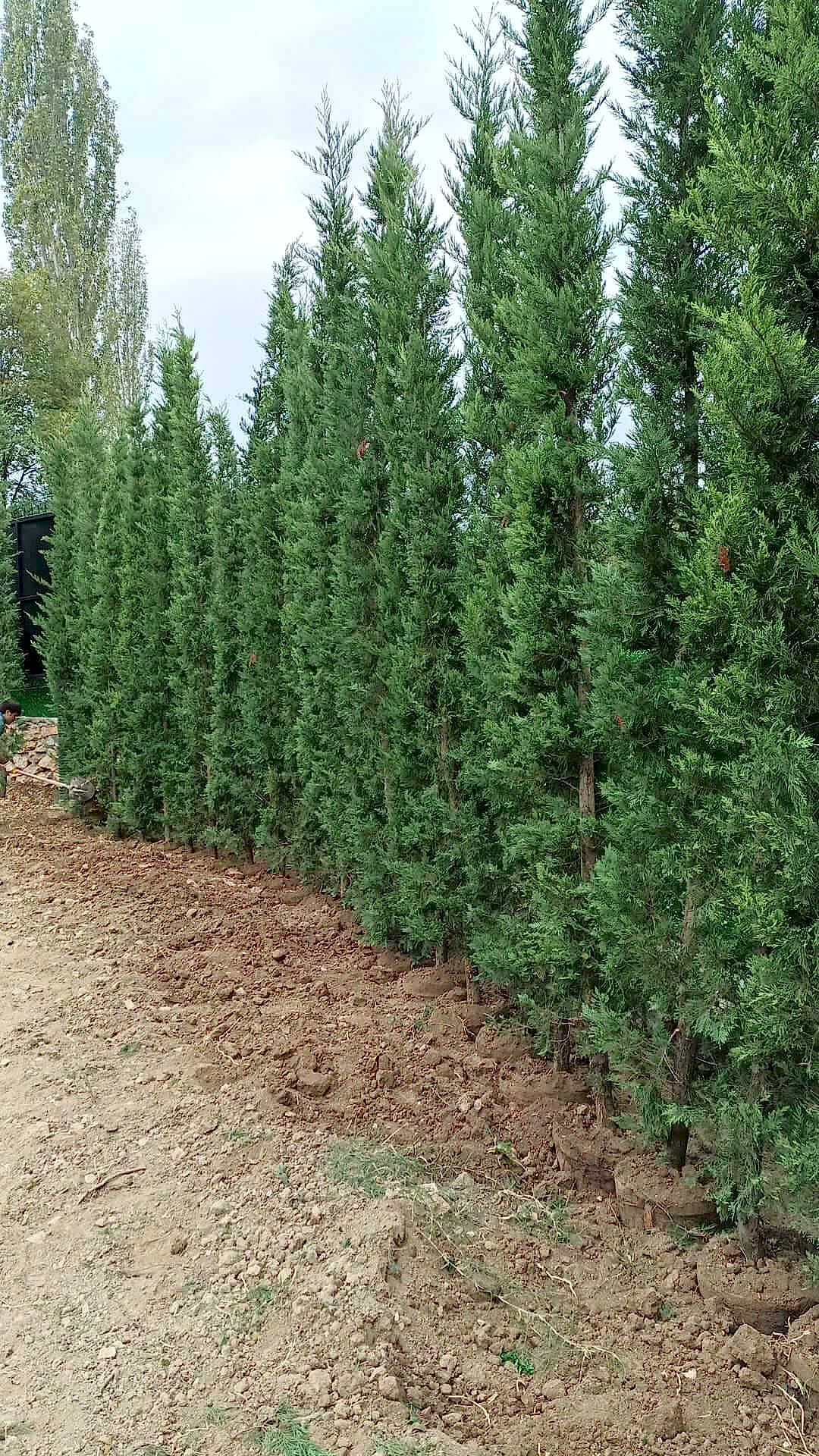 İnegöl Akkuş Peyzaj