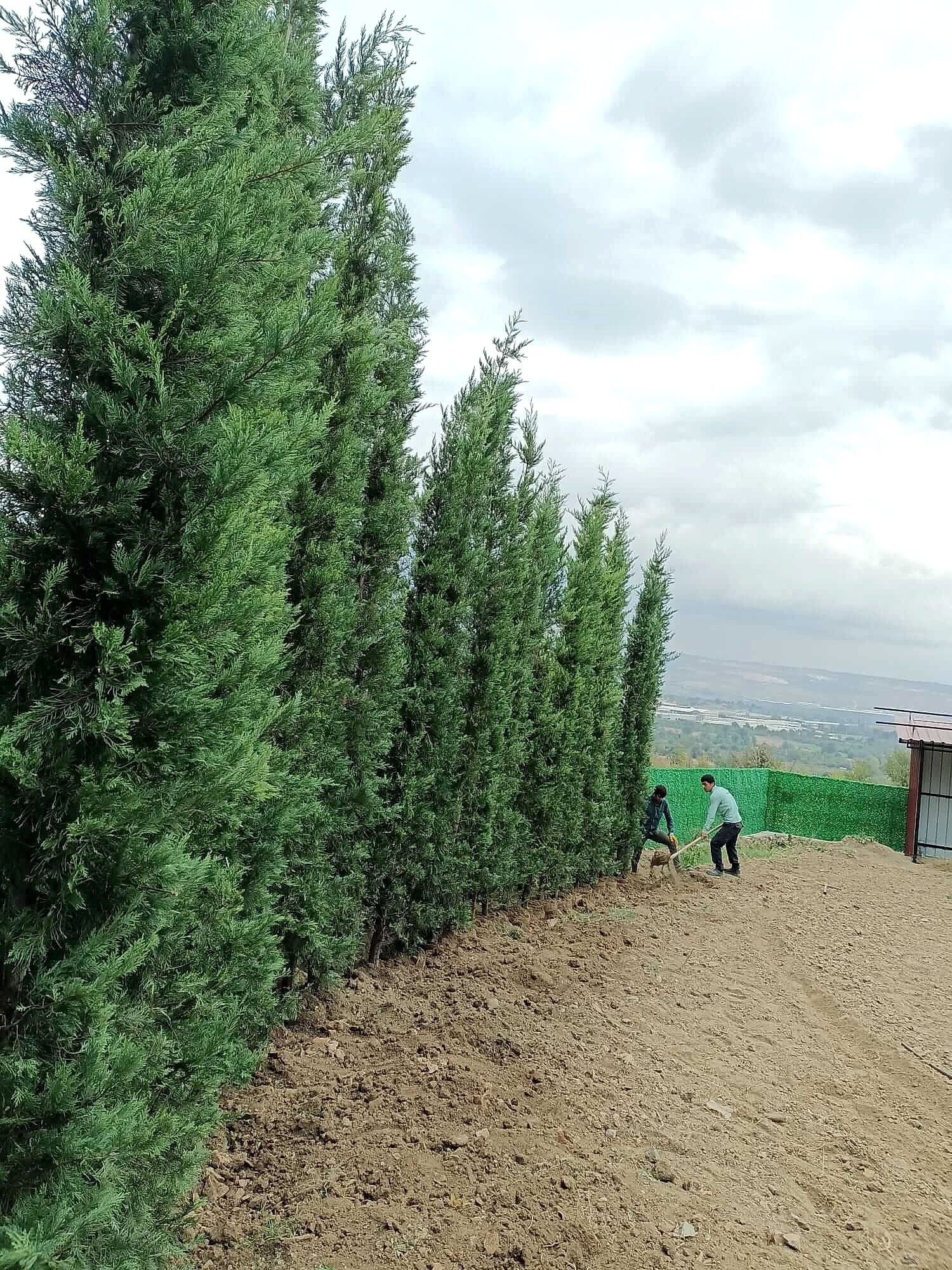 İnegöl Akkuş Peyzaj