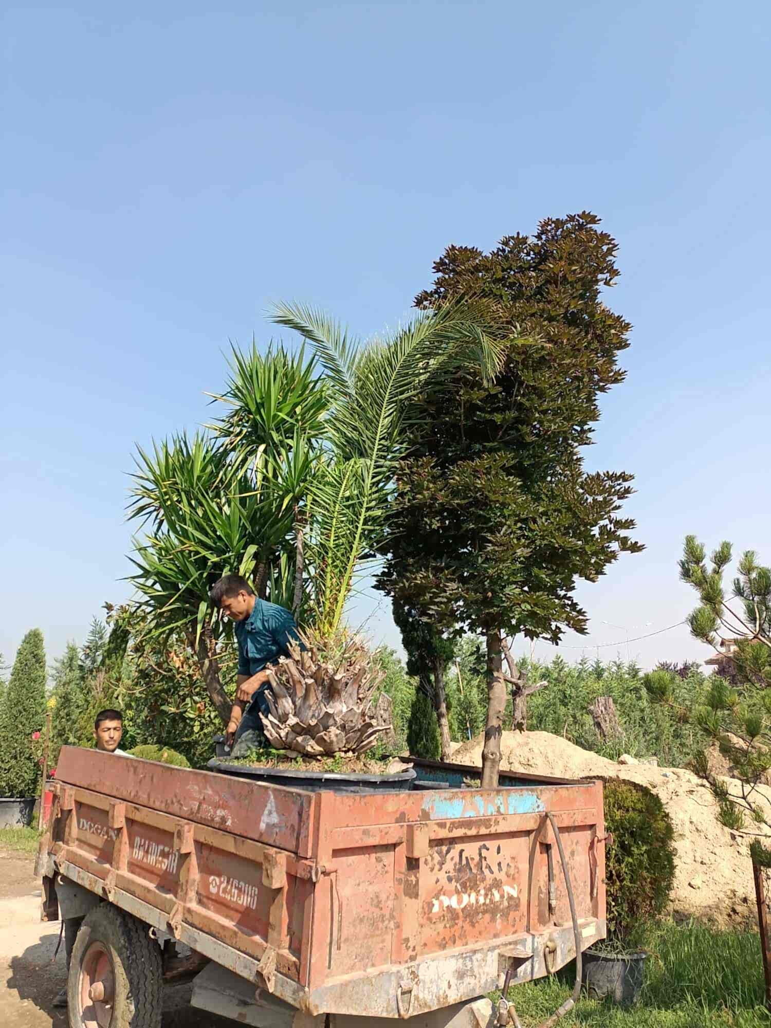 İnegöl Akkuş Peyzaj