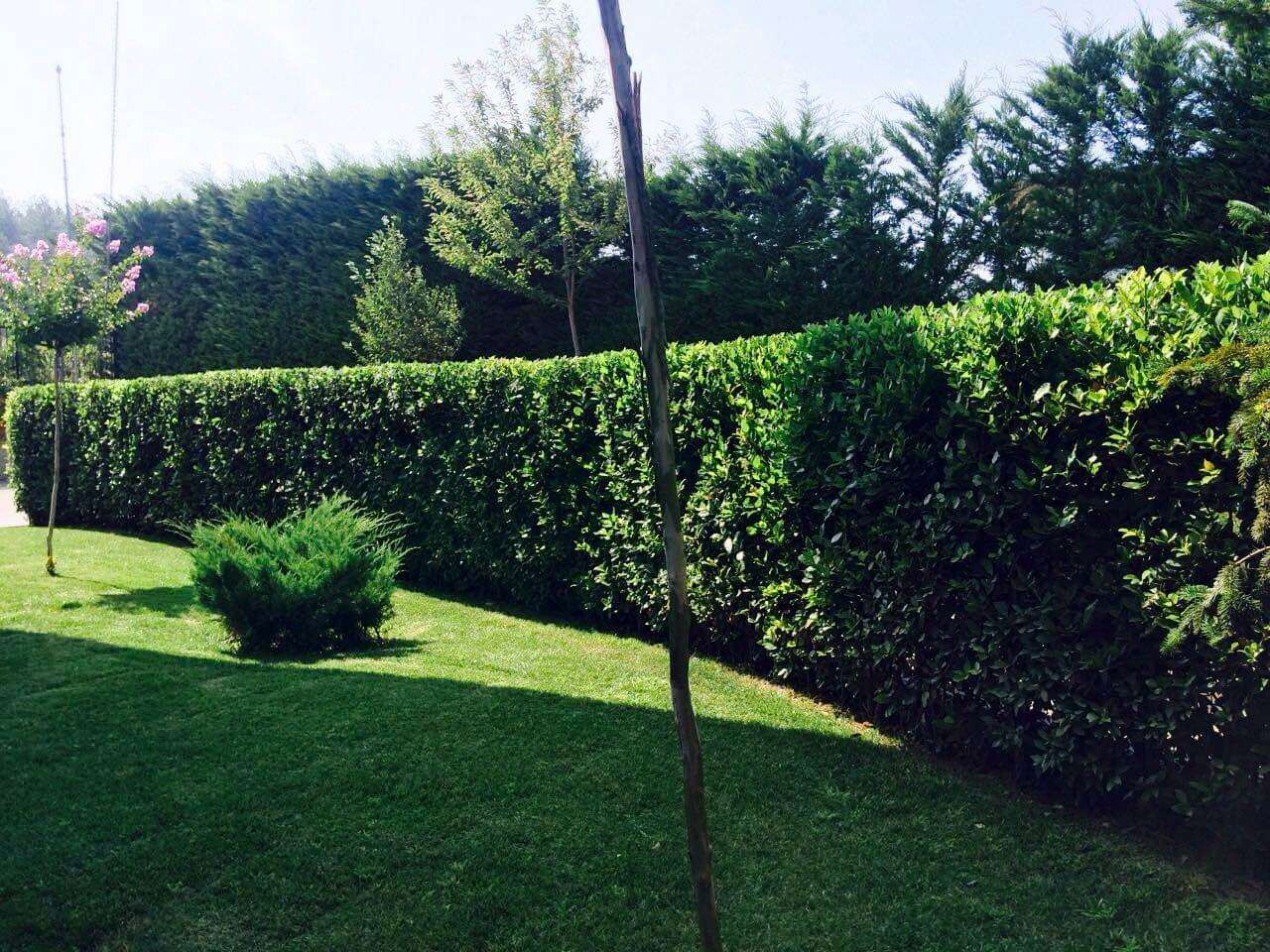 İnegöl Akkuş Peyzaj