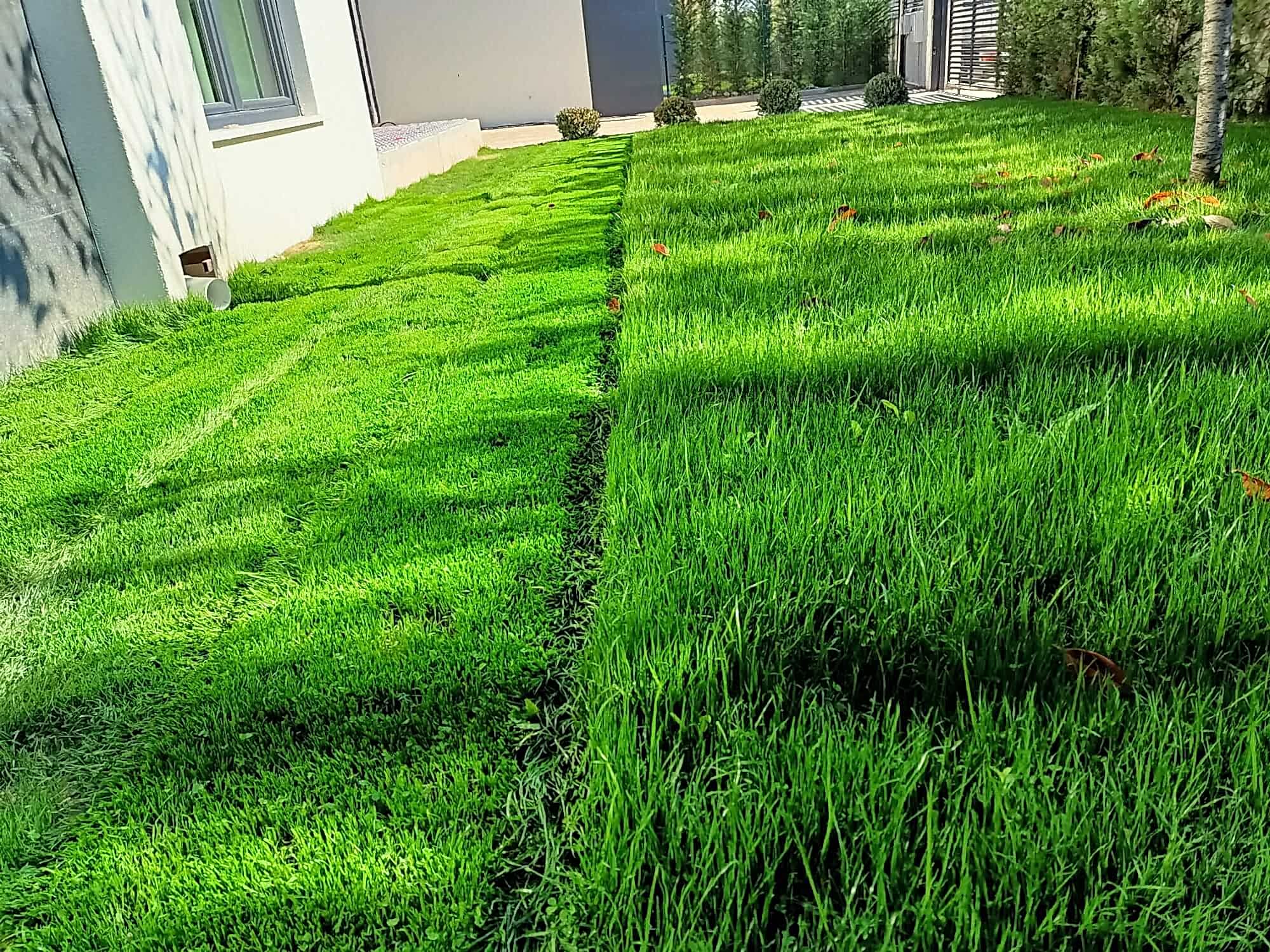 İnegöl Akkuş Peyzaj