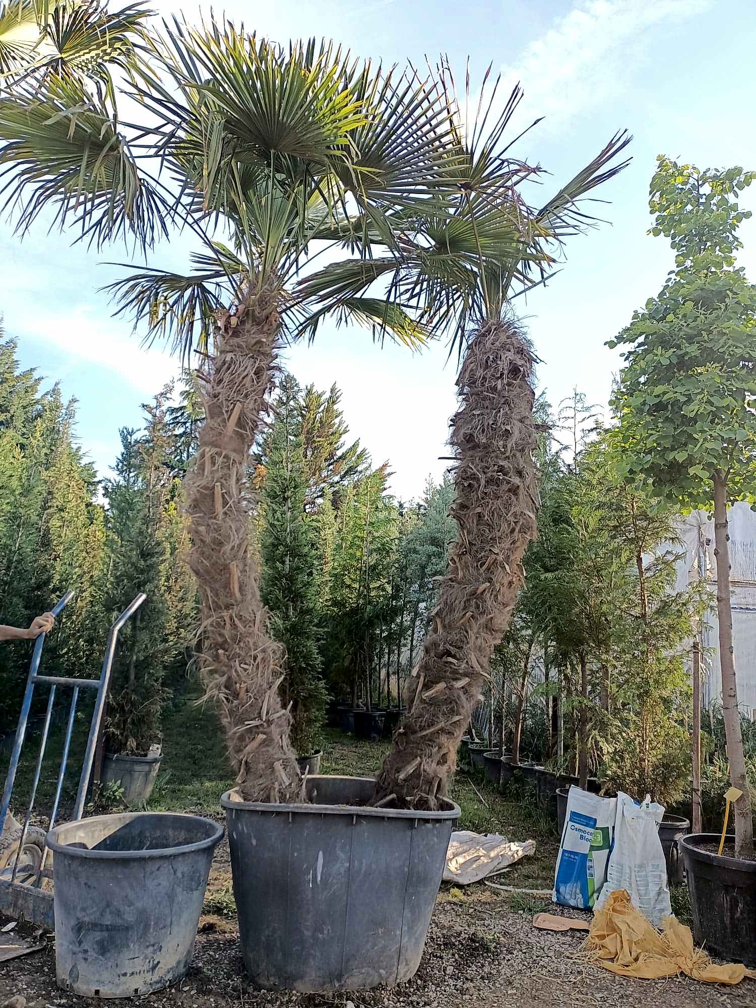 İnegöl Akkuş Peyzaj