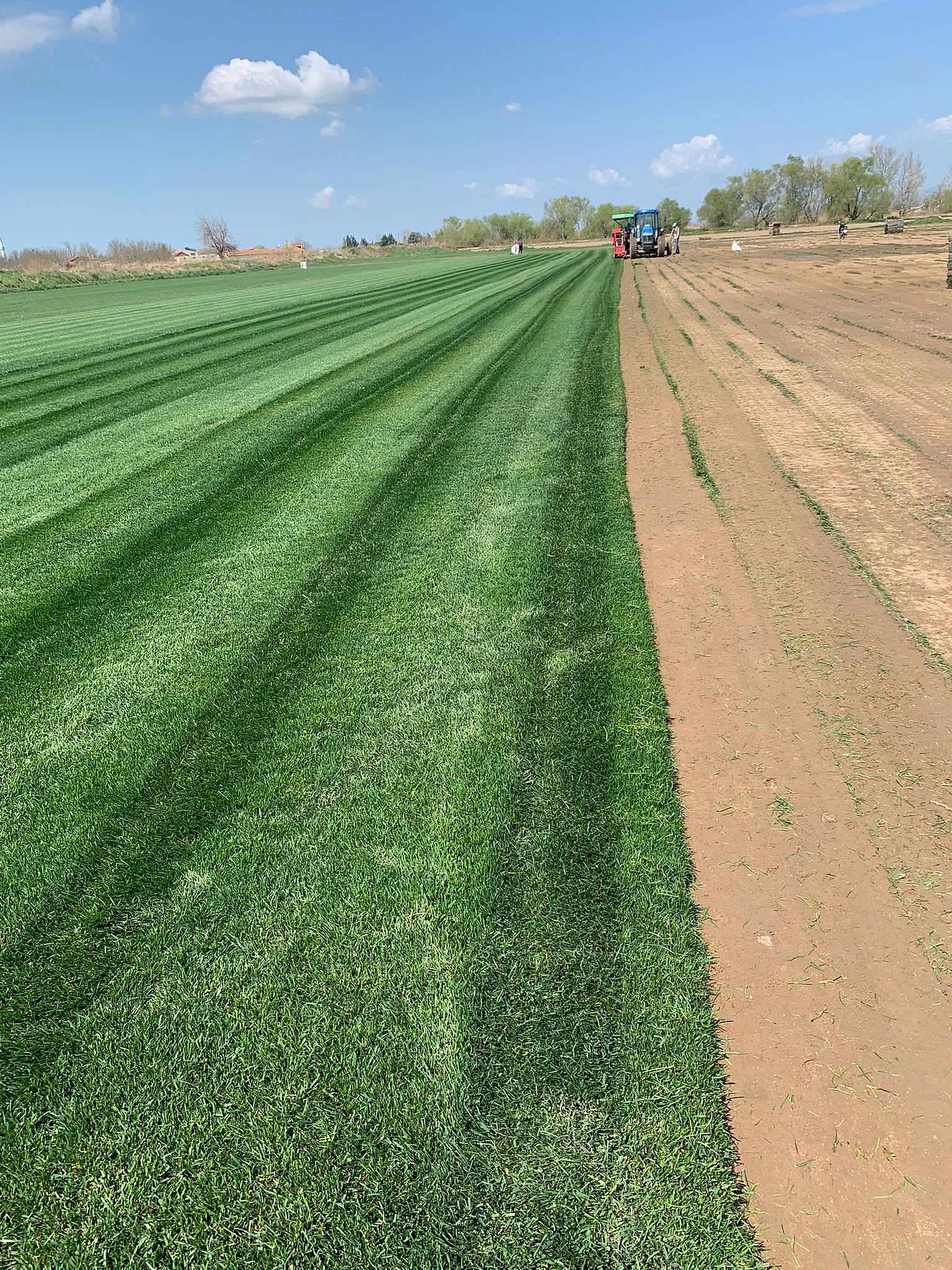 İnegöl Akkuş Peyzaj