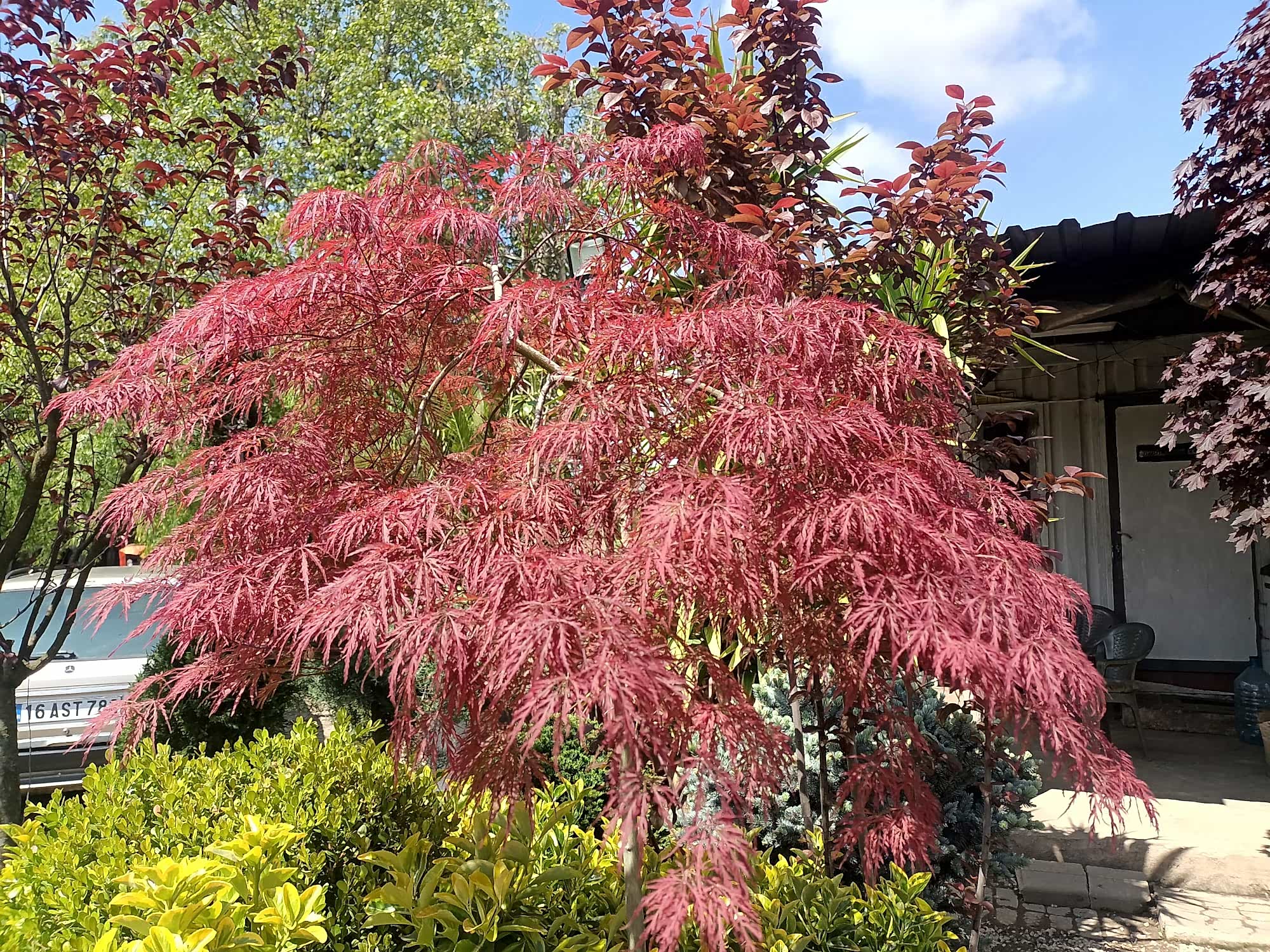 İnegöl Akkuş Peyzaj