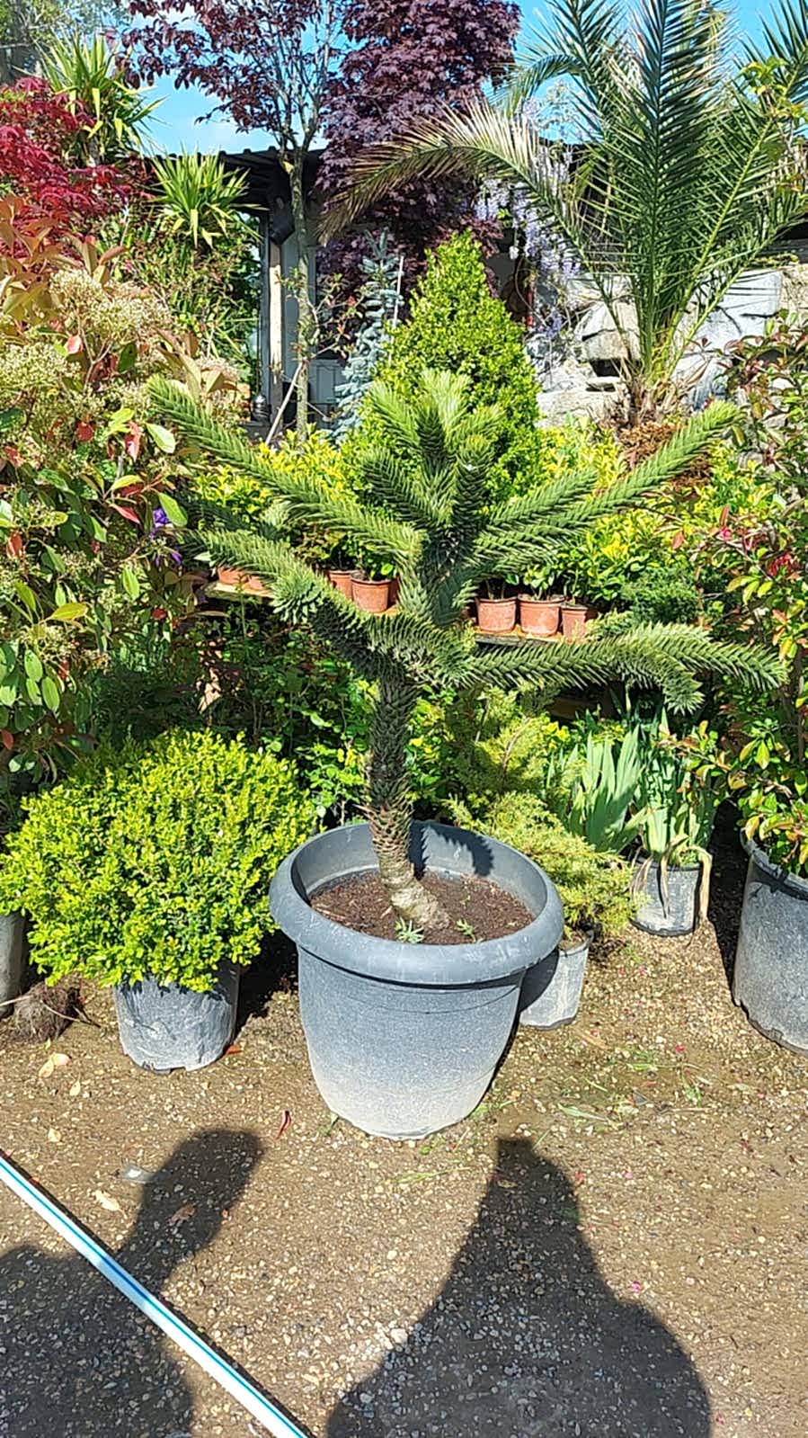 İnegöl Akkuş Peyzaj