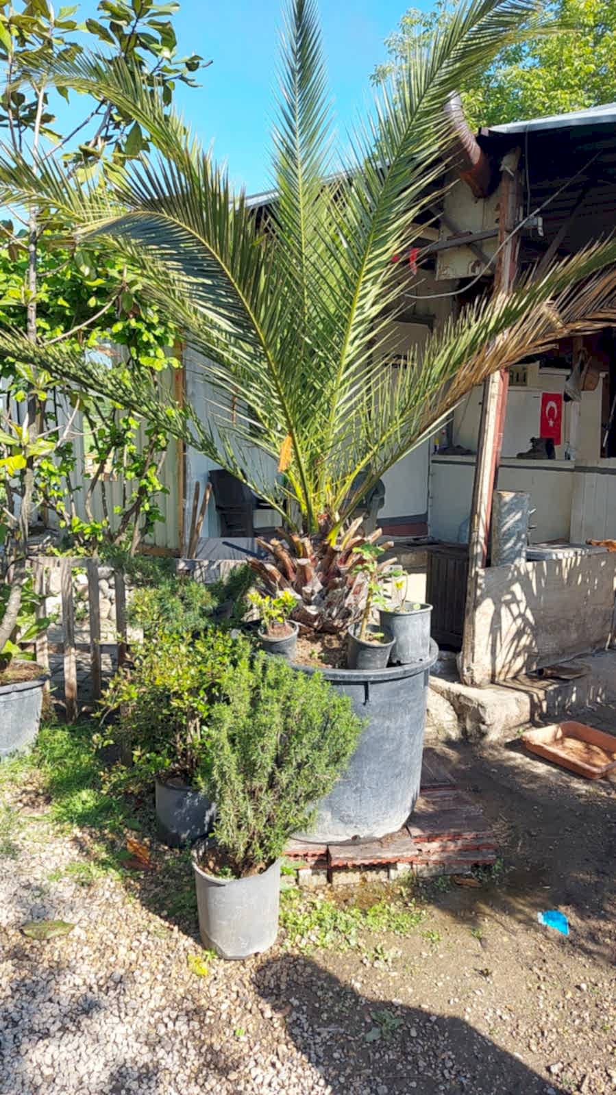 İnegöl Akkuş Peyzaj