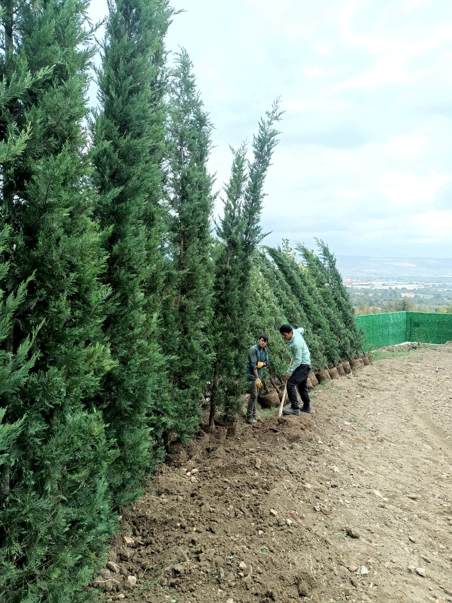 İnegöl Akkuş Peyzaj