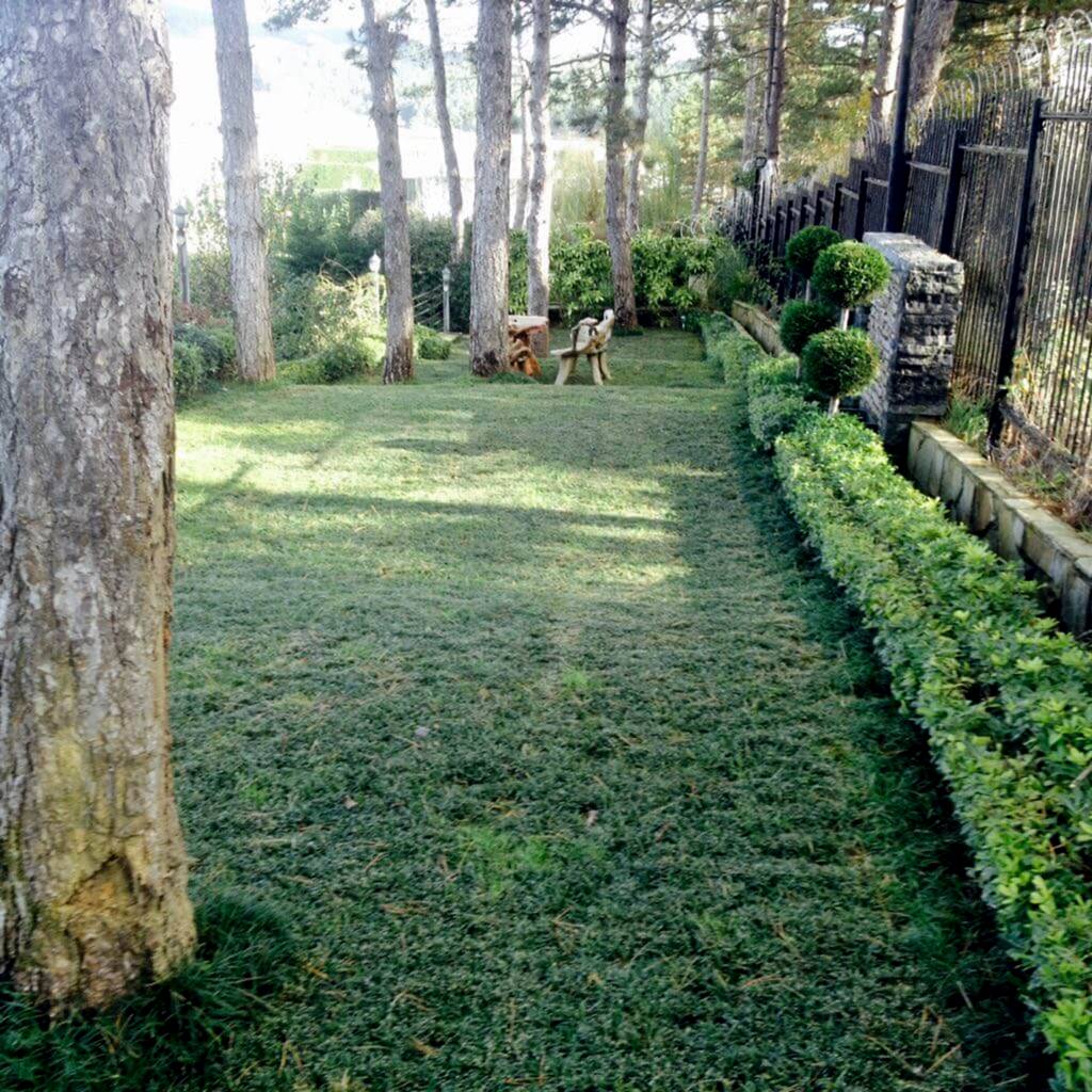 İnegöl Akkuş Peyzaj