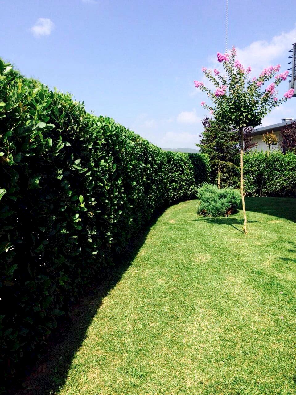 İnegöl Akkuş Peyzaj