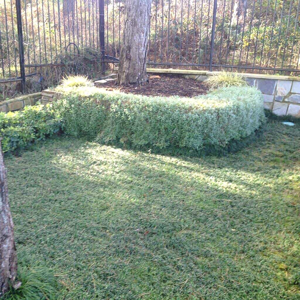 İnegöl Akkuş Peyzaj