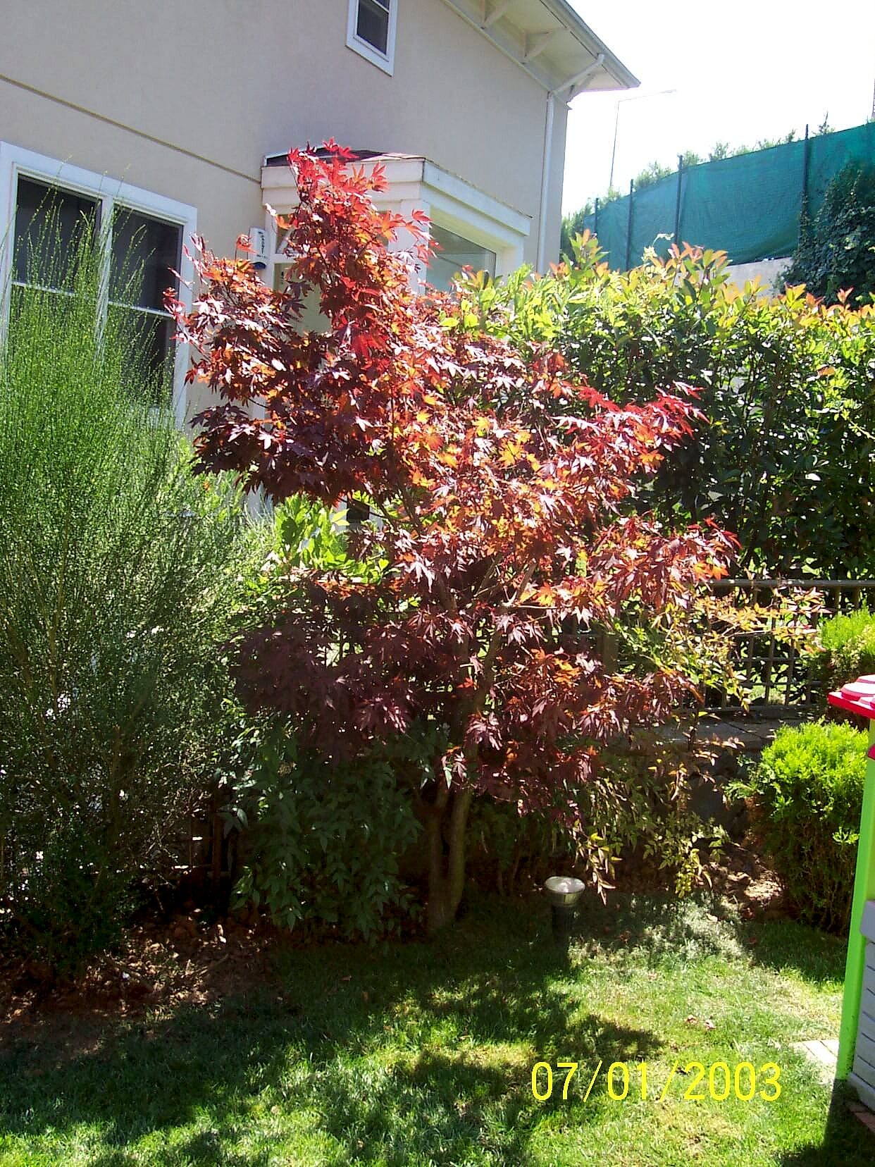 İnegöl Akkuş Peyzaj