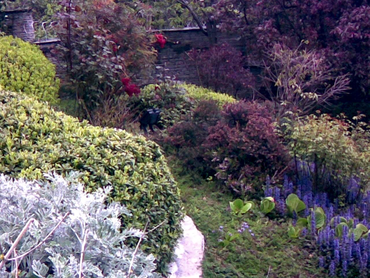 İnegöl Akkuş Peyzaj